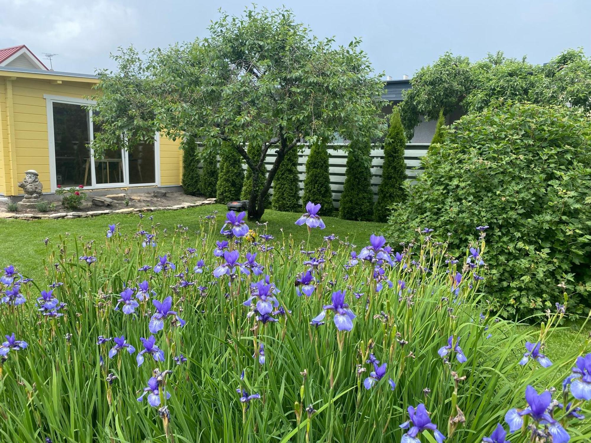 Ranna Majutus Appartement Pärnu Buitenkant foto